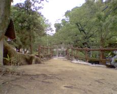 春日神社の参道