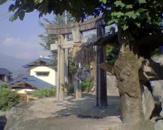 斜面にのぞく谷日吉神社の宮口