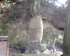 谷日吉神社境内の庚申塔