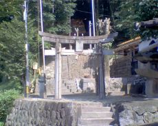 谷日吉神社の全貌