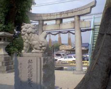 雑餉隈恵比須神社の狛犬