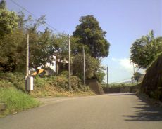 比良松山王神社への道