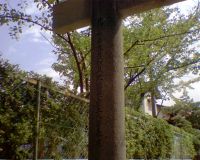 山王日吉神社の二ノ鳥居の左柱